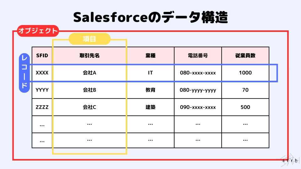 レコード 人気 データ項目