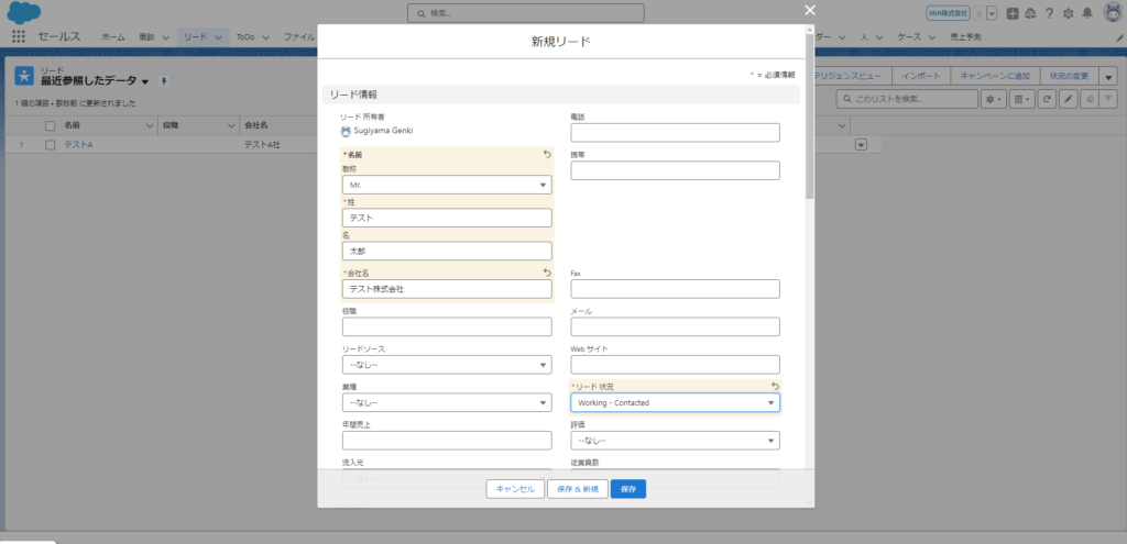 salesforce リード ストア 上限